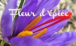 Logo fleur de pice
